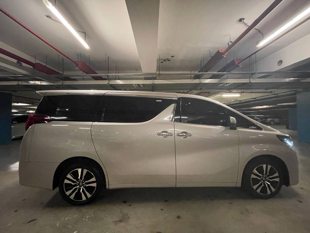 
								Alphard Champagne full									